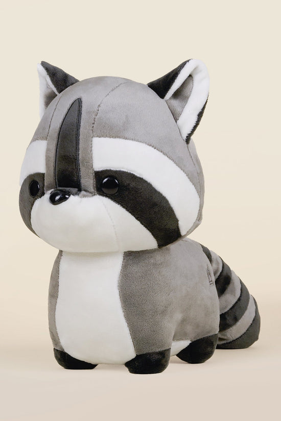 Raccooni the Raccoon