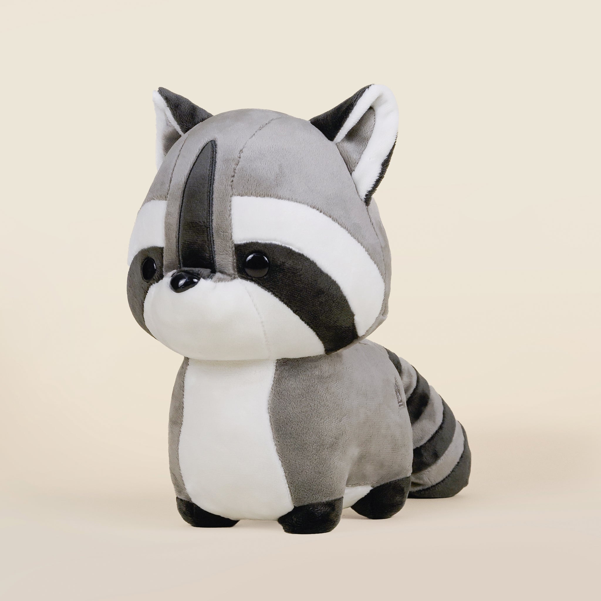 Raccooni the Raccoon