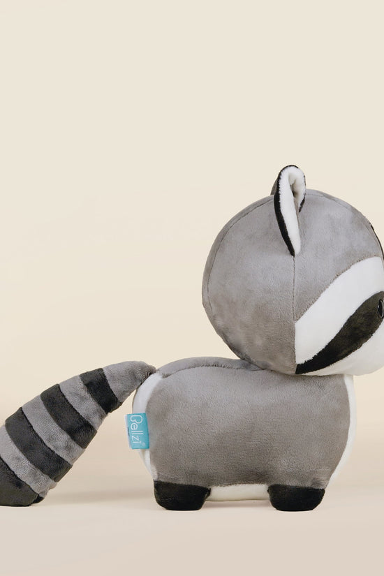 Raccooni the Raccoon