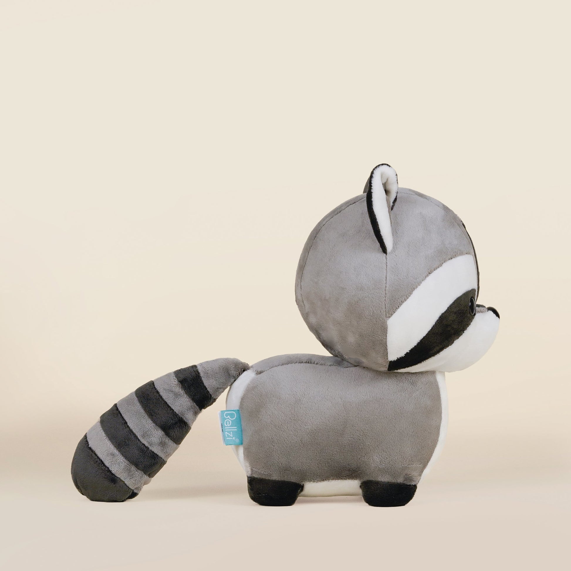 Raccooni the Raccoon