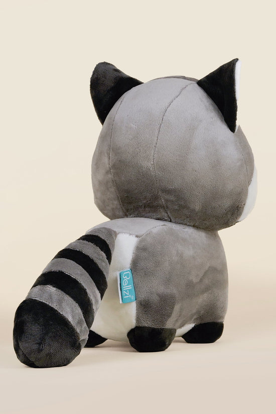 Raccooni the Raccoon