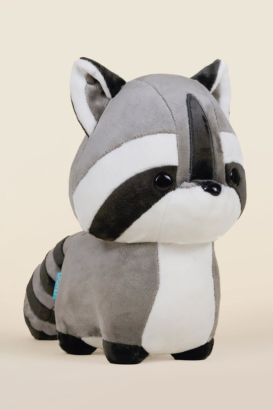 Raccooni the Raccoon