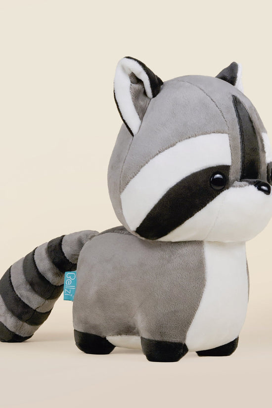 Raccooni the Raccoon