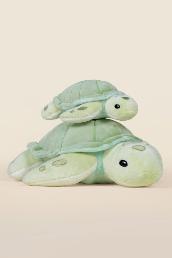 Sea Torti the Sea Turtle
