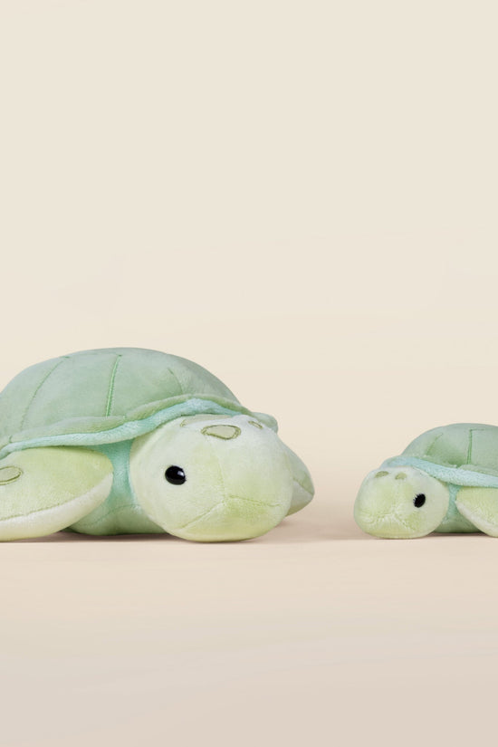 Sea Torti the Sea Turtle