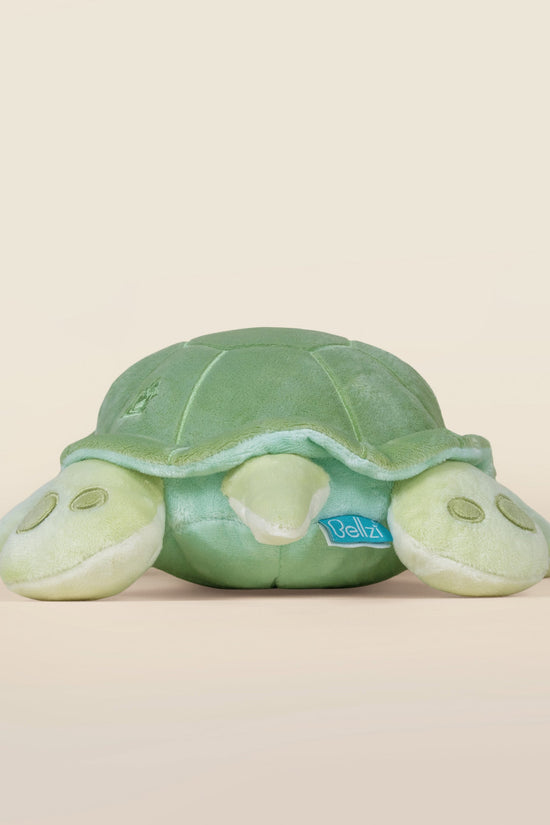 Sea Torti the Sea Turtle