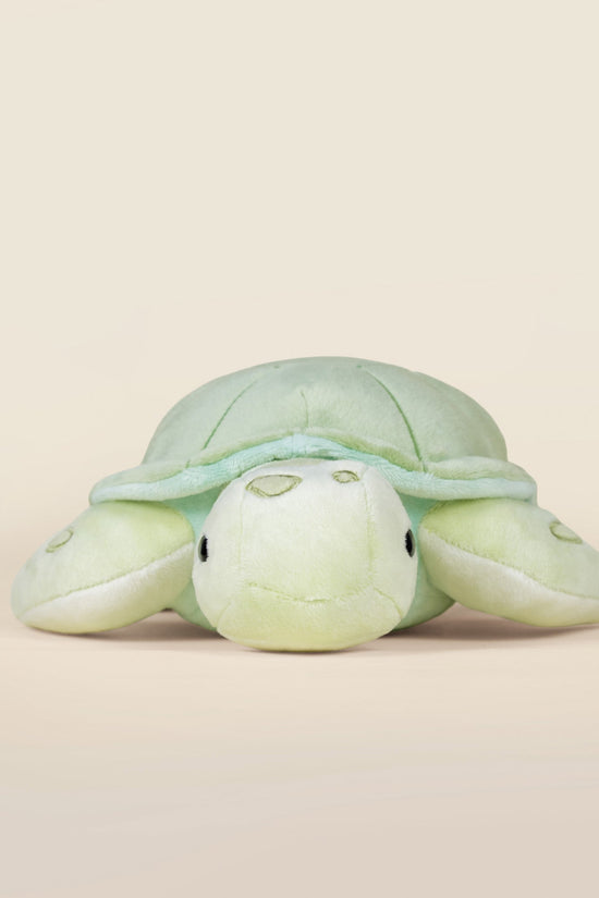 Sea Torti the Sea Turtle