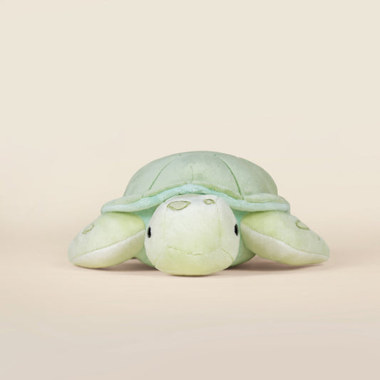 Sea Torti the Sea Turtle