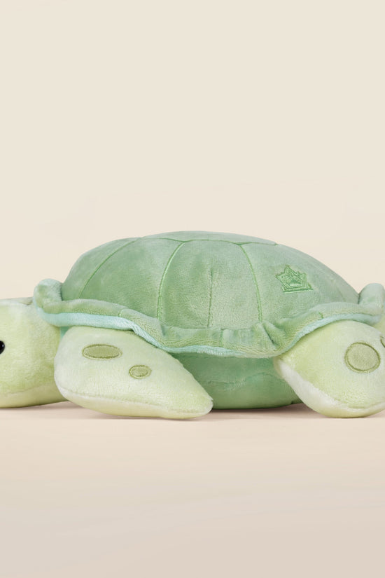 Sea Torti the Sea Turtle