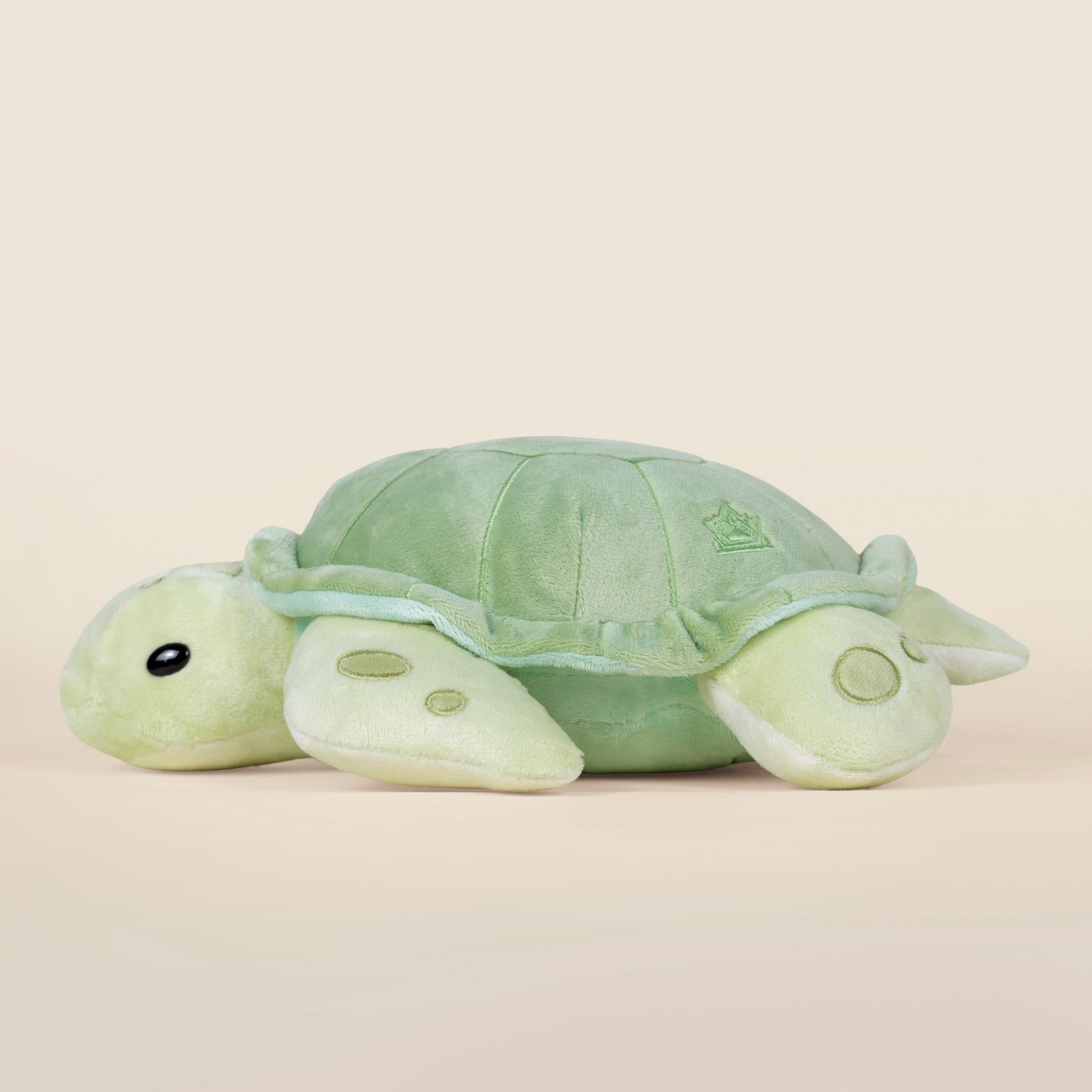 Sea Torti the Sea Turtle