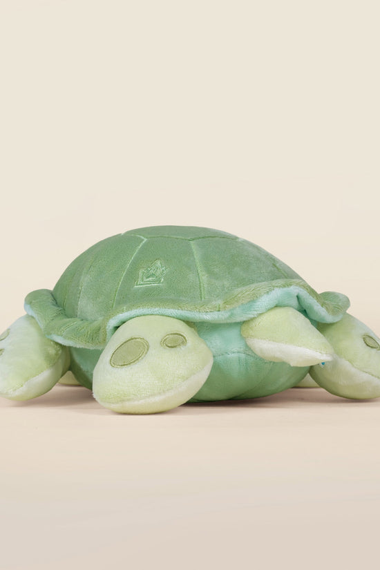 Sea Torti the Sea Turtle