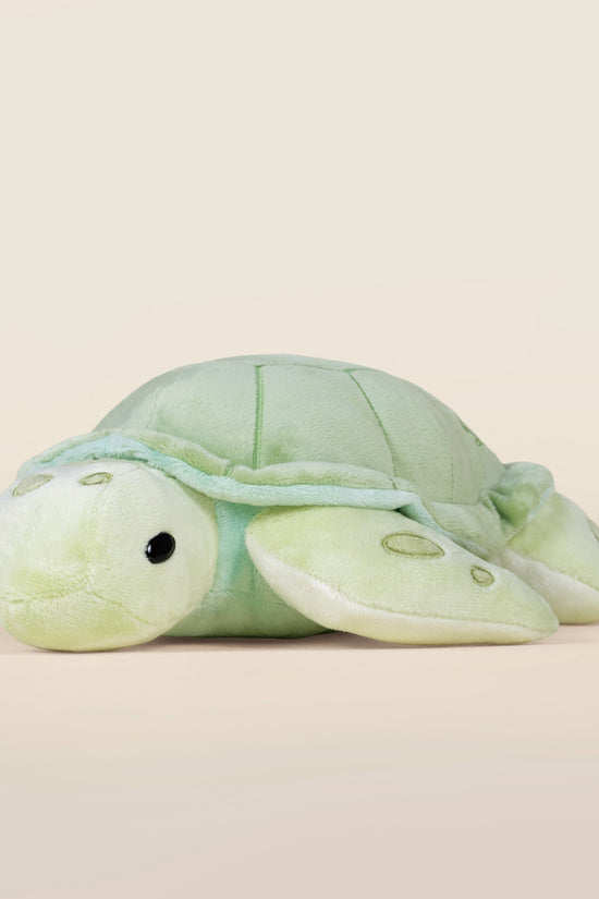 Sea Torti the Sea Turtle
