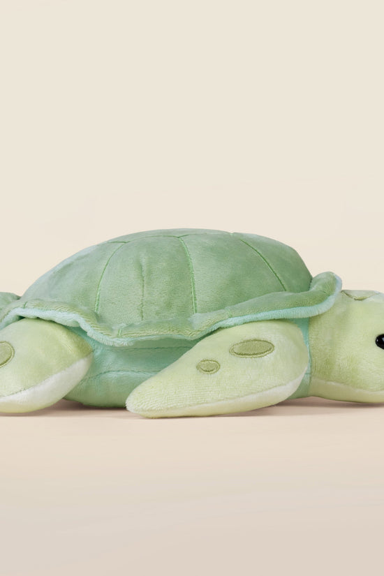Sea Torti the Sea Turtle