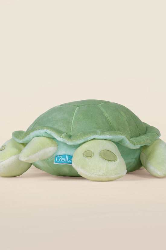 Sea Torti the Sea Turtle