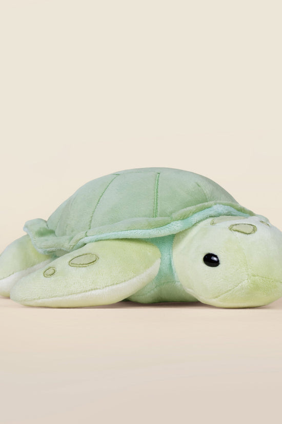 Sea Torti the Sea Turtle