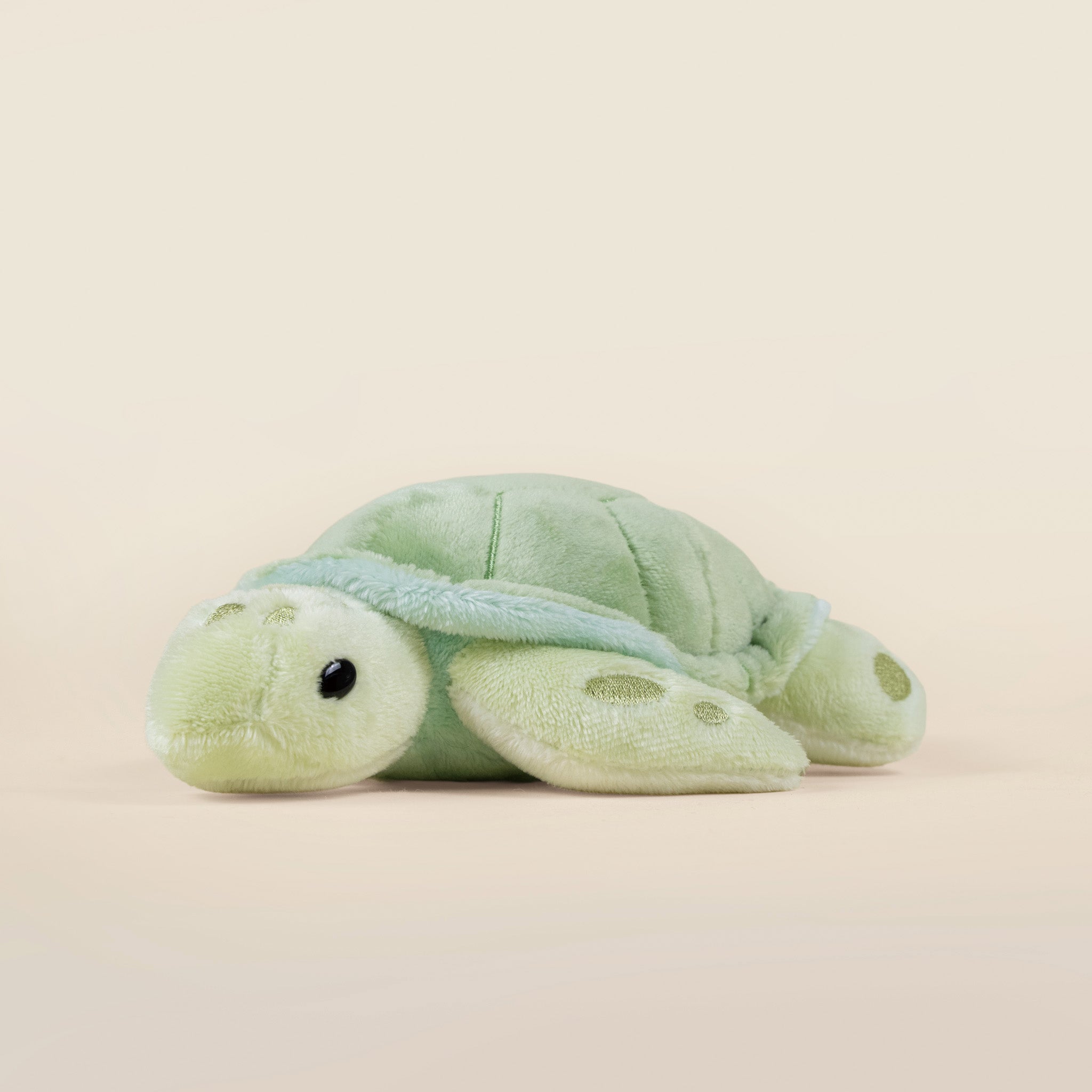 Mini Sea Torti the Sea Turtle