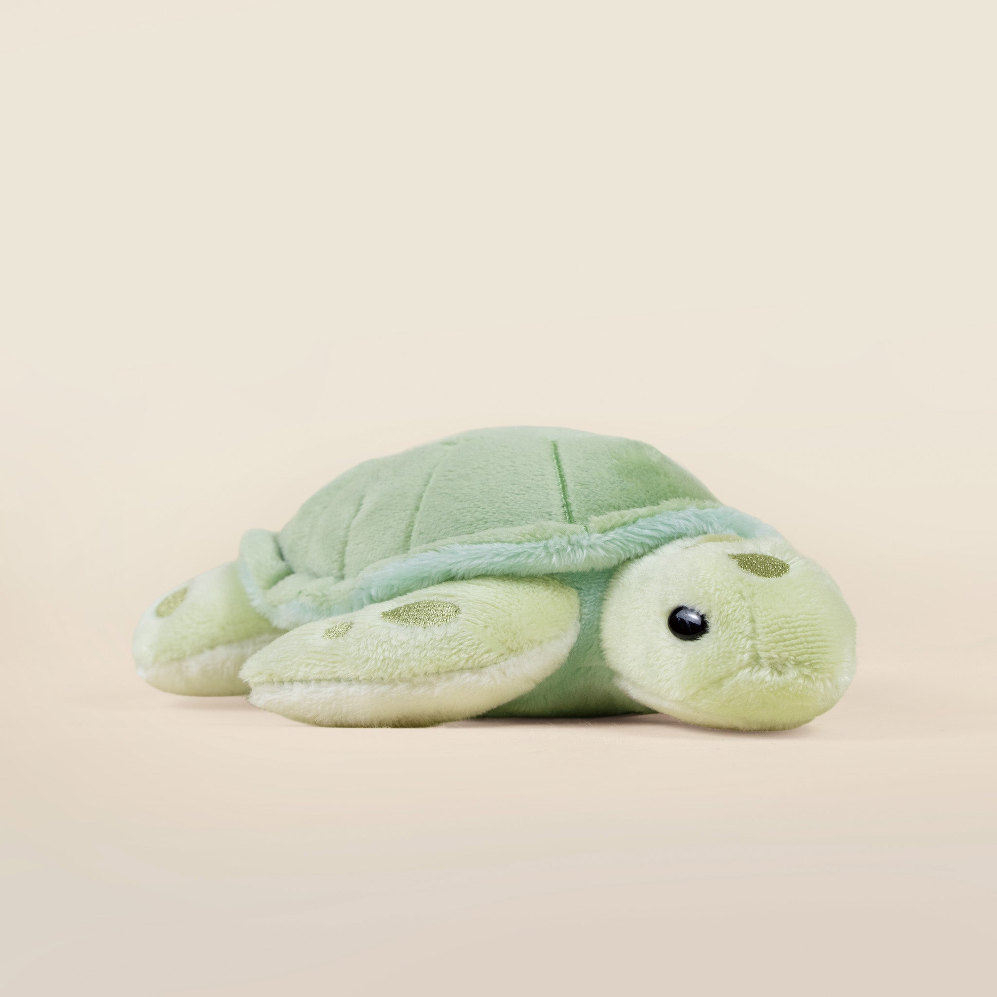 Mini Sea Torti the Sea Turtle