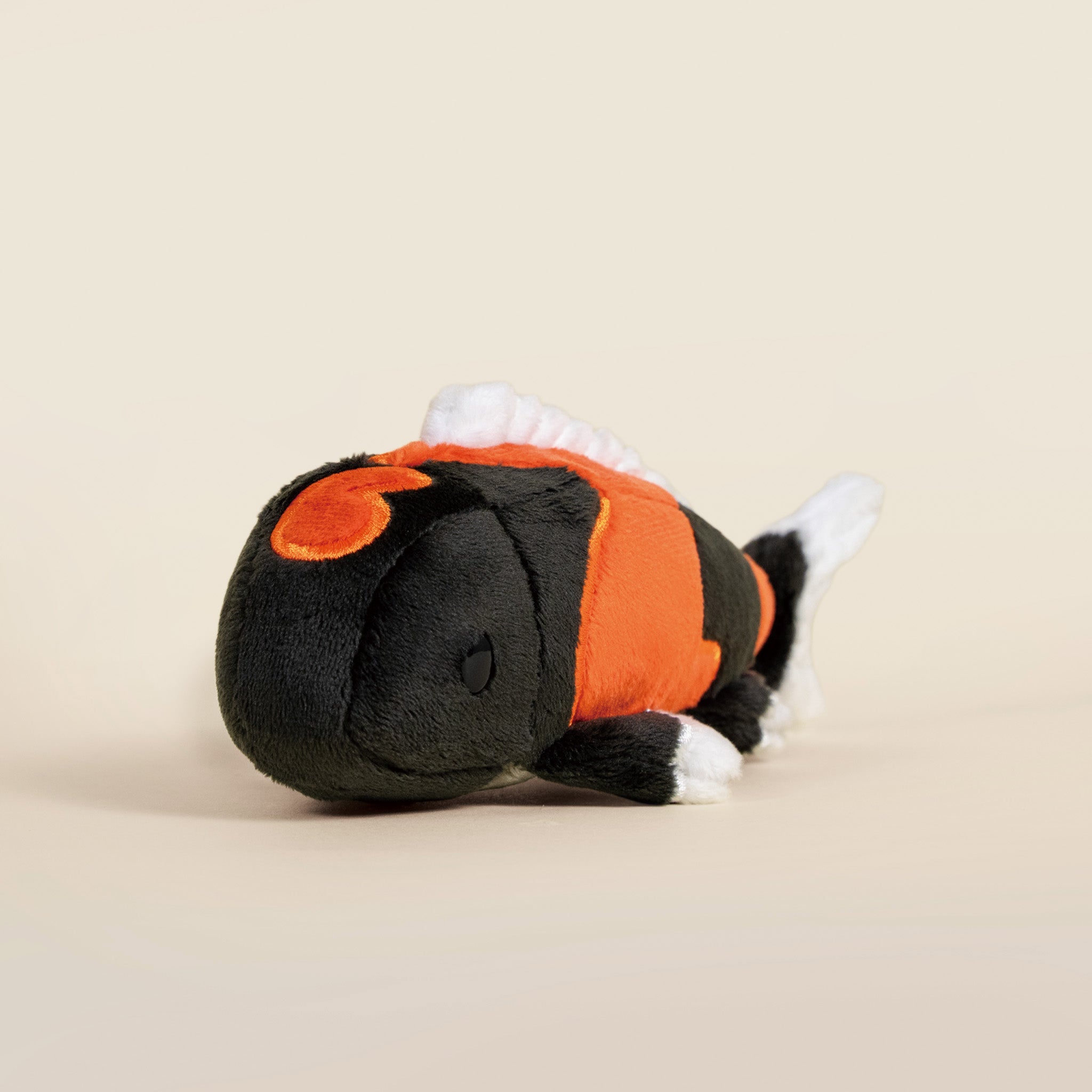 Mini Showa Koi the Koi Fish- Mystery Style