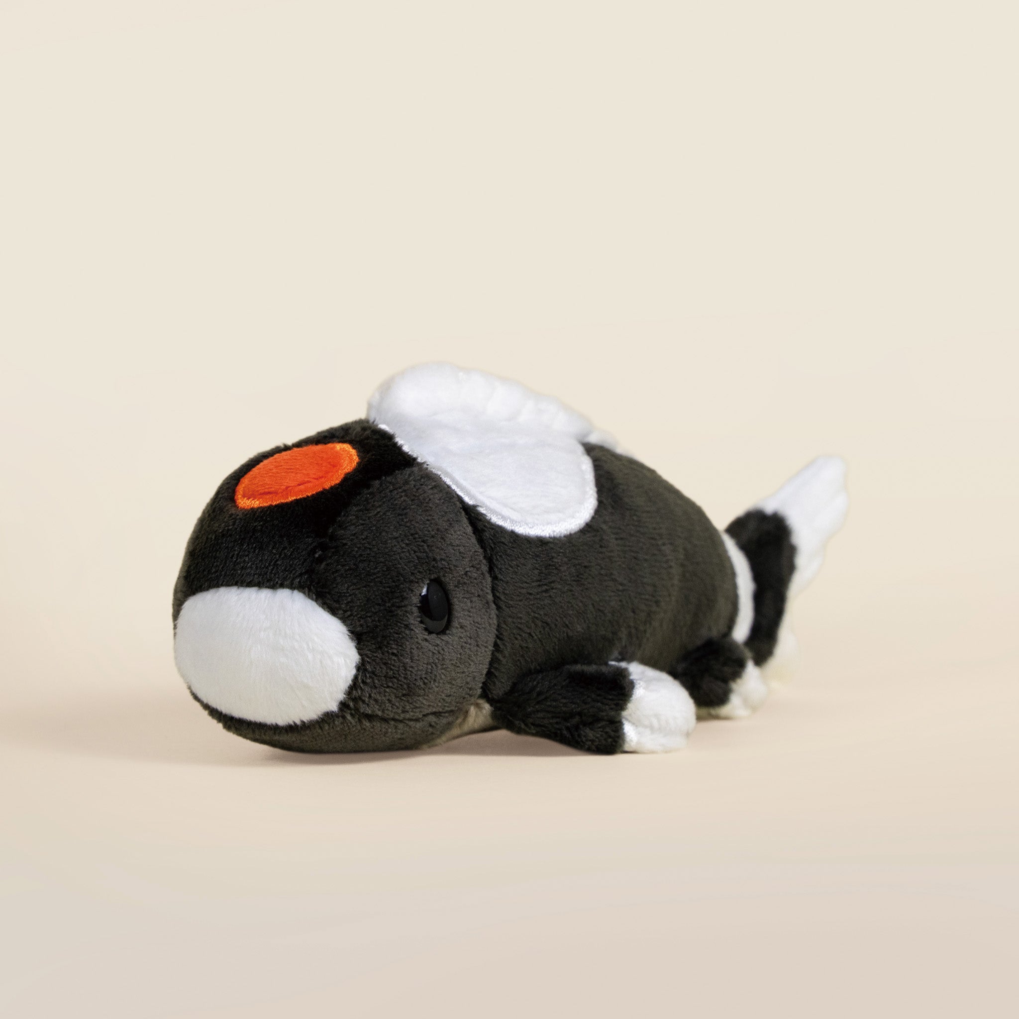 Mini Showa Koi the Koi Fish- Mystery Style