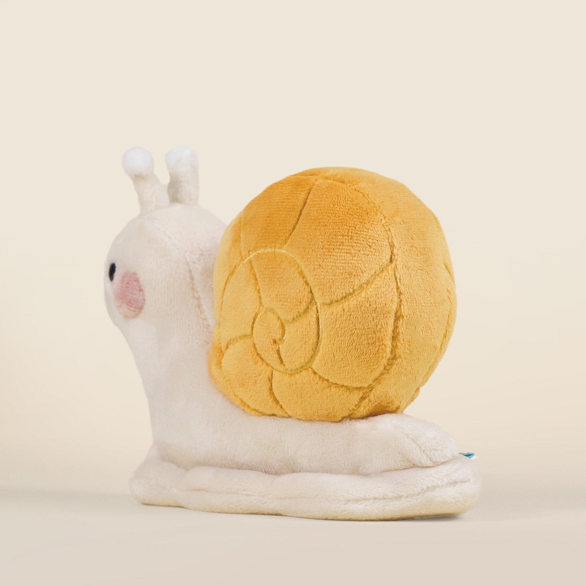 Mini Snaili the Snail