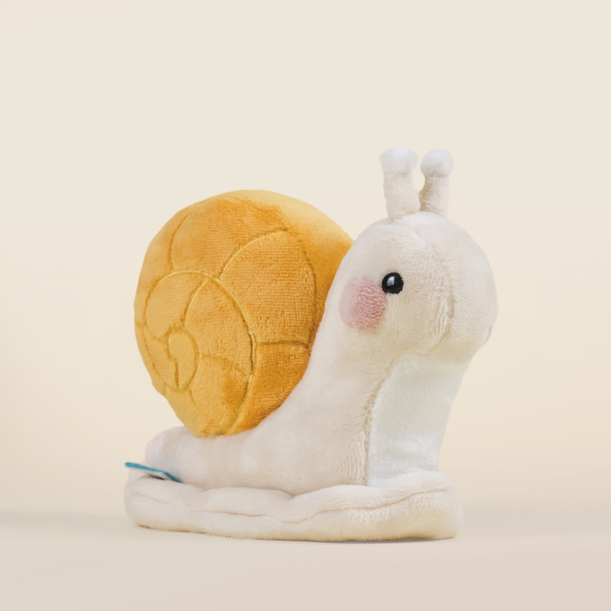 Mini Snaili the Snail