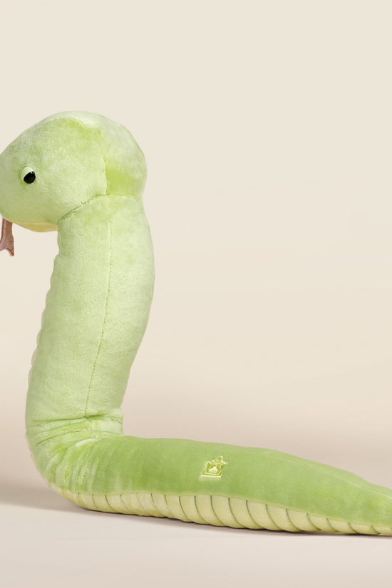 Snaki the Grass Snake