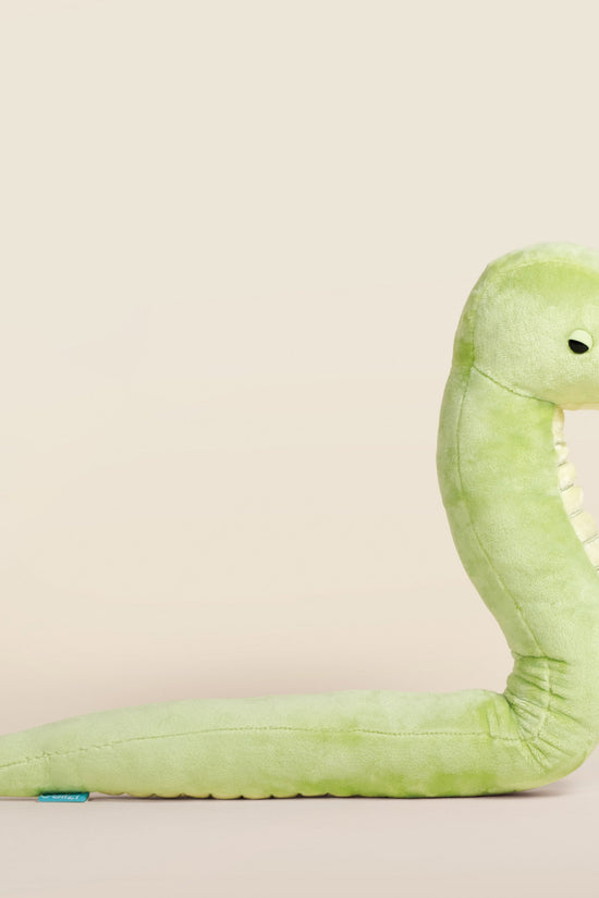 Snaki the Grass Snake