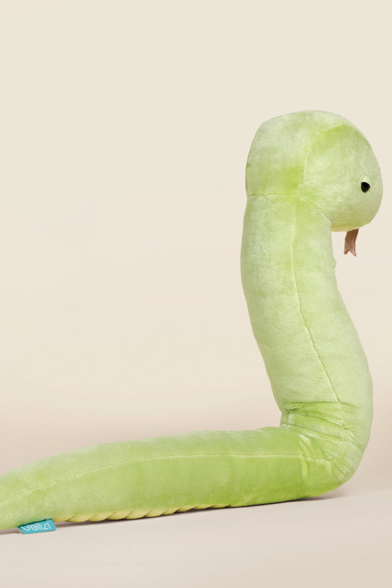Snaki the Grass Snake