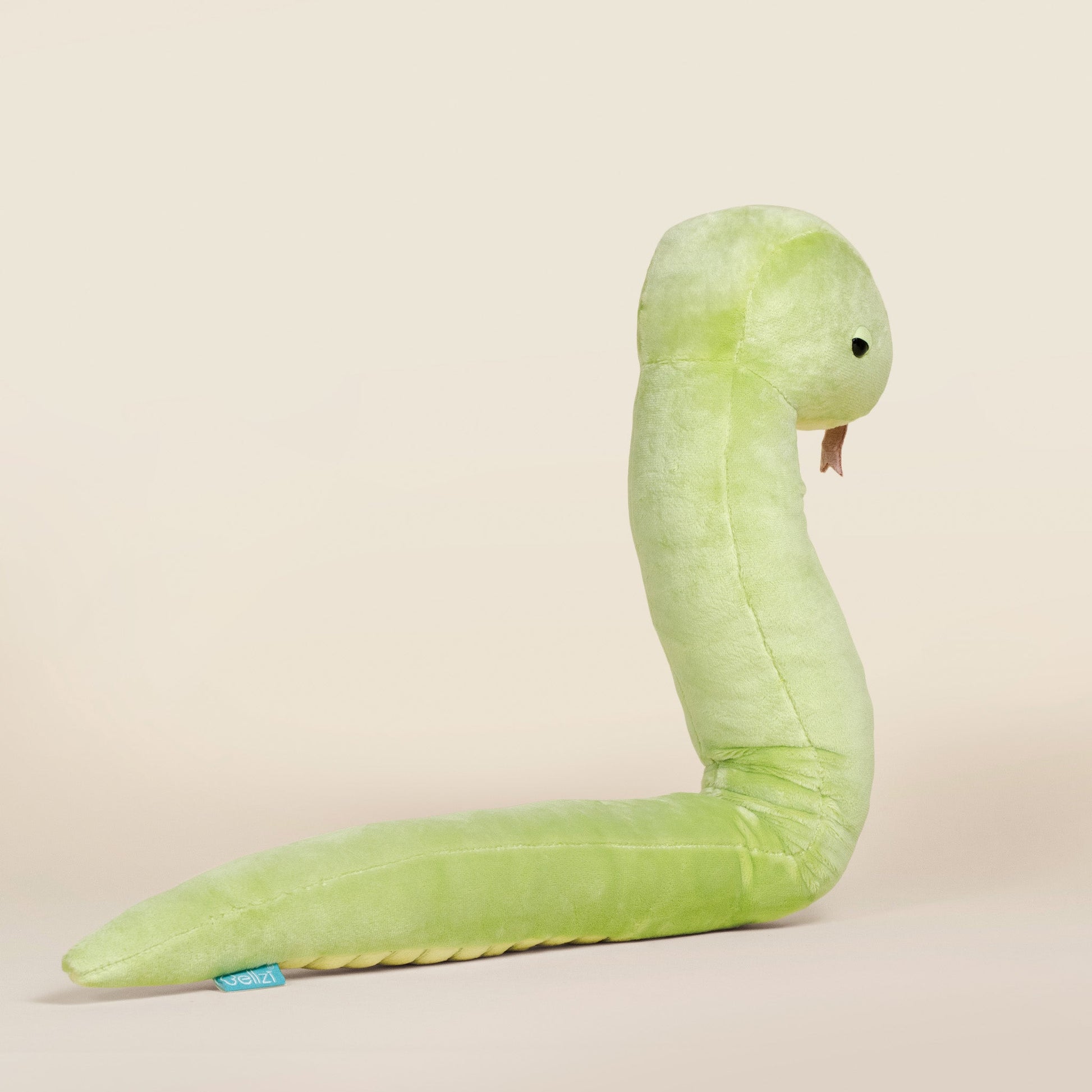 Snaki the Grass Snake