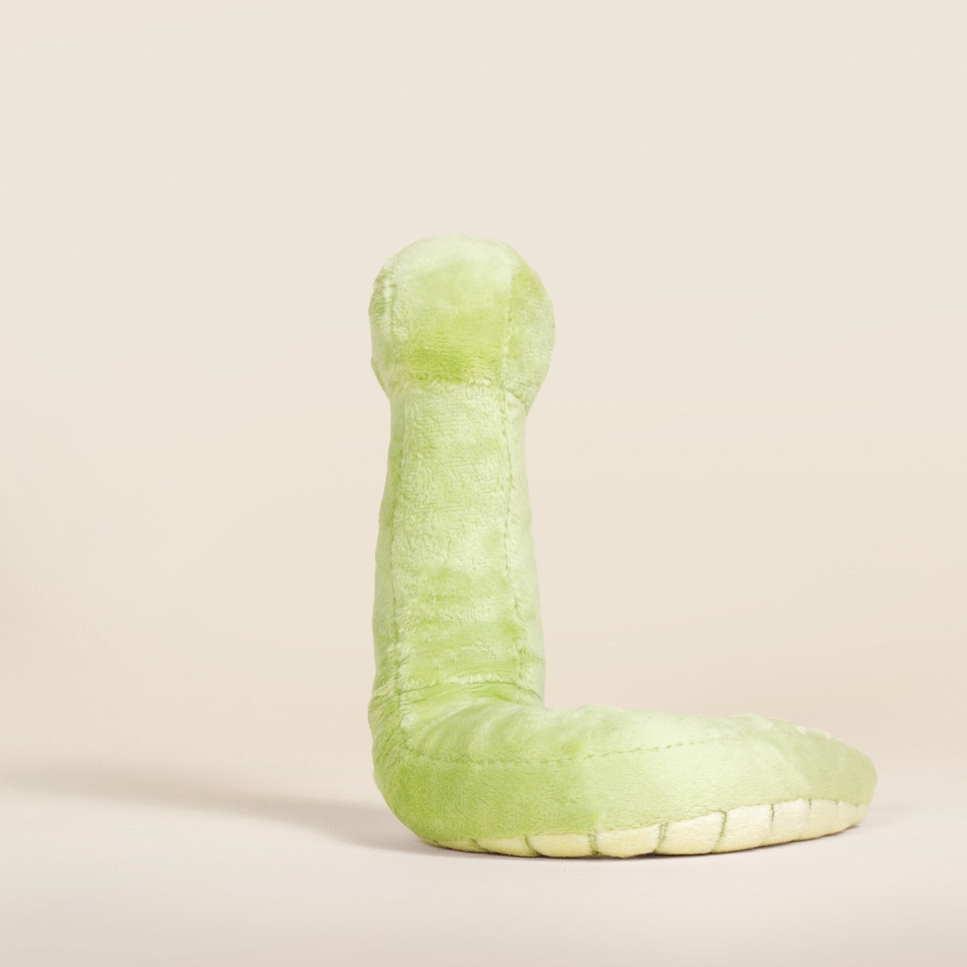 Mini Snaki the Grass Snake
