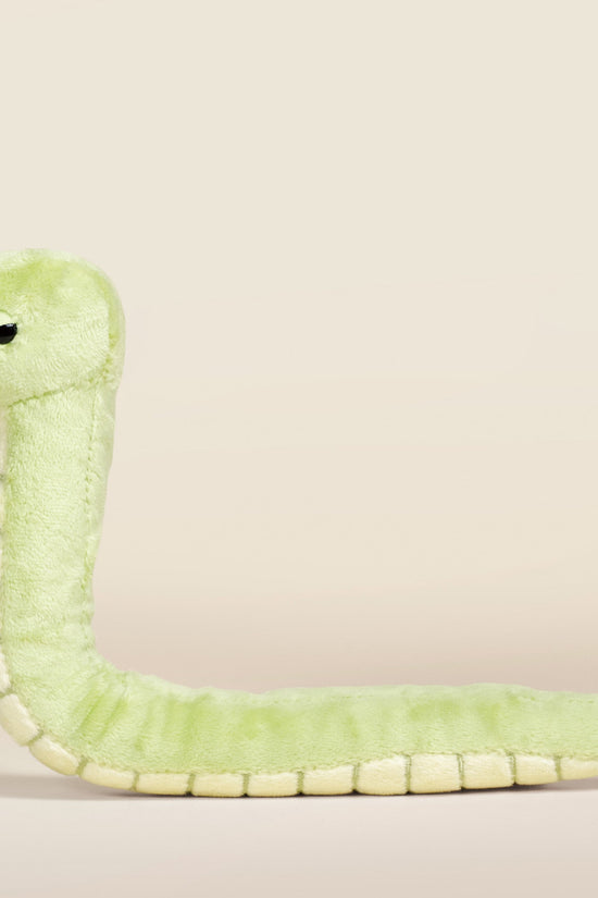 Mini Snaki the Grass Snake