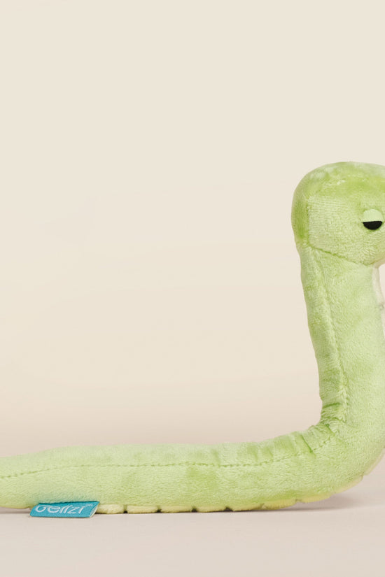 Mini Snaki the Grass Snake