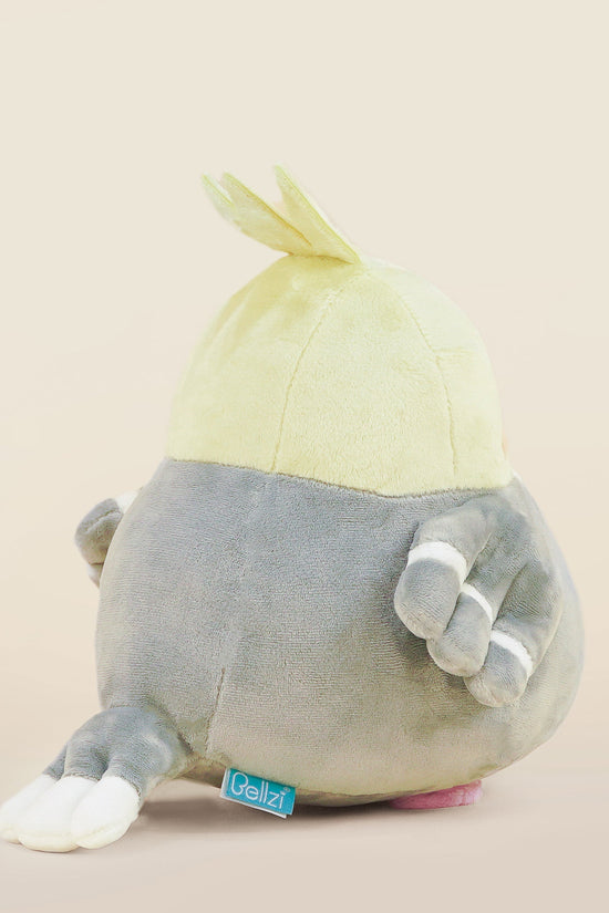 Tilli the Cockatiel