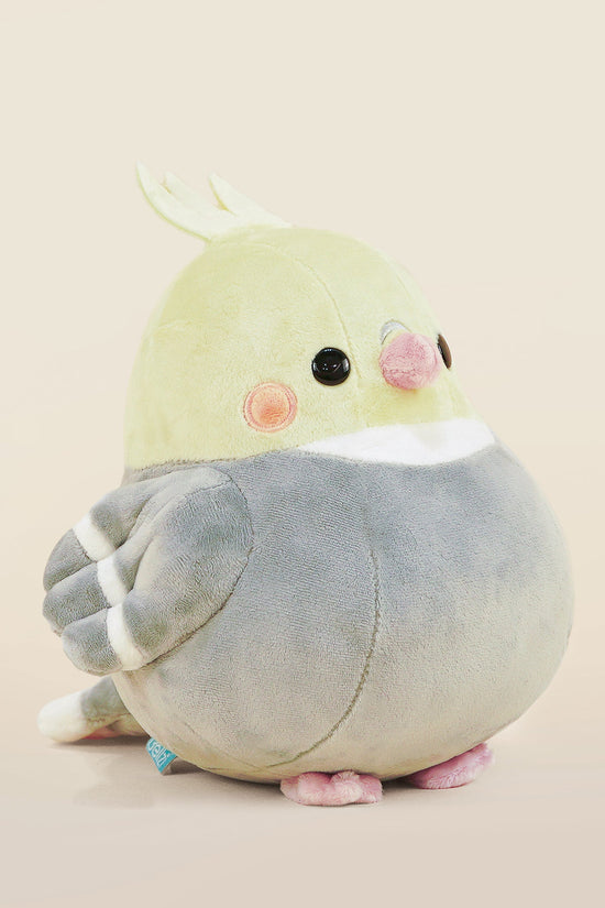 Tilli the Cockatiel