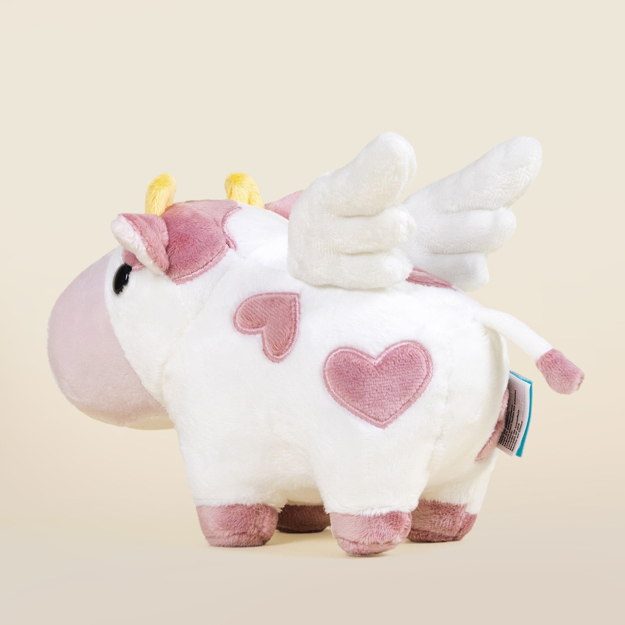 Mini Valentine Mooi